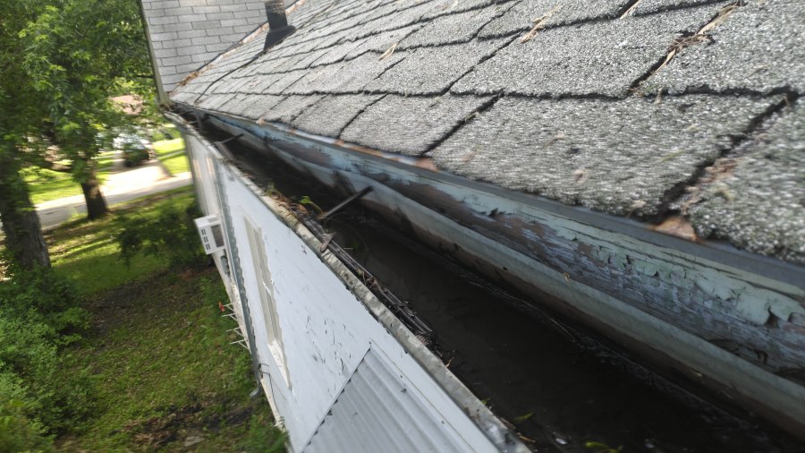 P_20190527_182401_vHDR_Auto