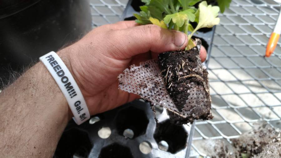 P_20190620_155114_vHDR_On